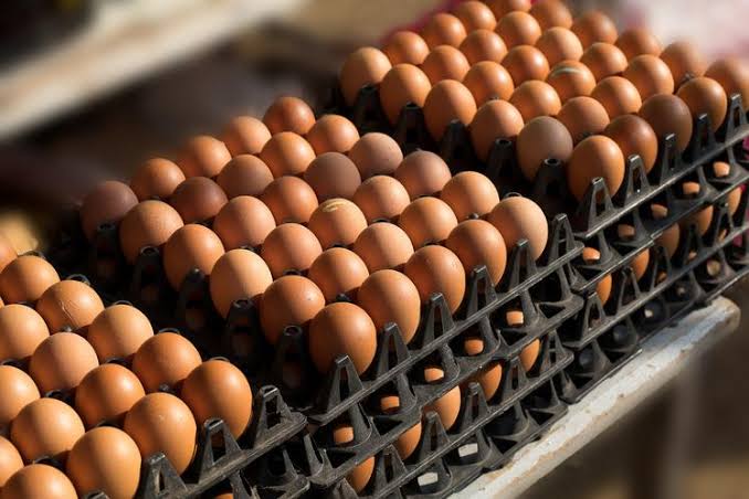 Oeufs